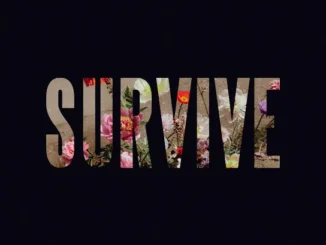 Lewis Capaldi - The Day That I Die