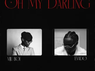 Viju Boi - Oh My Darling