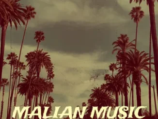 DJ Damlex Soundit – Malian Music