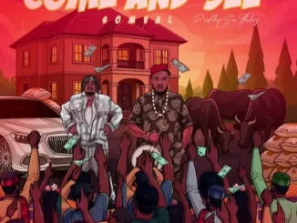 Somval – Come And See The Goodness Of God In My Life