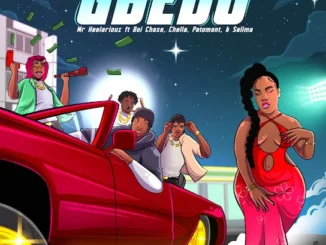 Mr Heelariouz - Gbedu