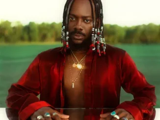 Adekunle Gold - Okay