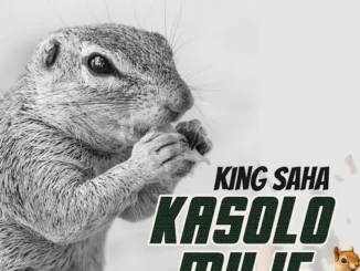 King Saha - Kasolo Muje