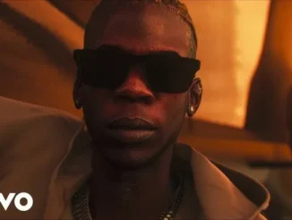 Seyi Vibez - AMA (Video)