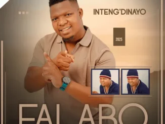 Falabo - Yangena Lento