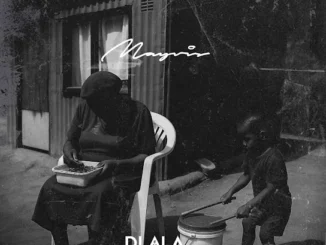 Dlala Thukzin - Ungenzani