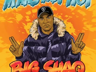 Big Shaq - Man's Not Hot
