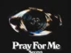 Seezyn - Pray For Me