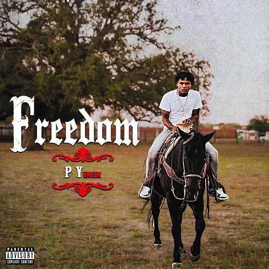 P Yungin - Freedom